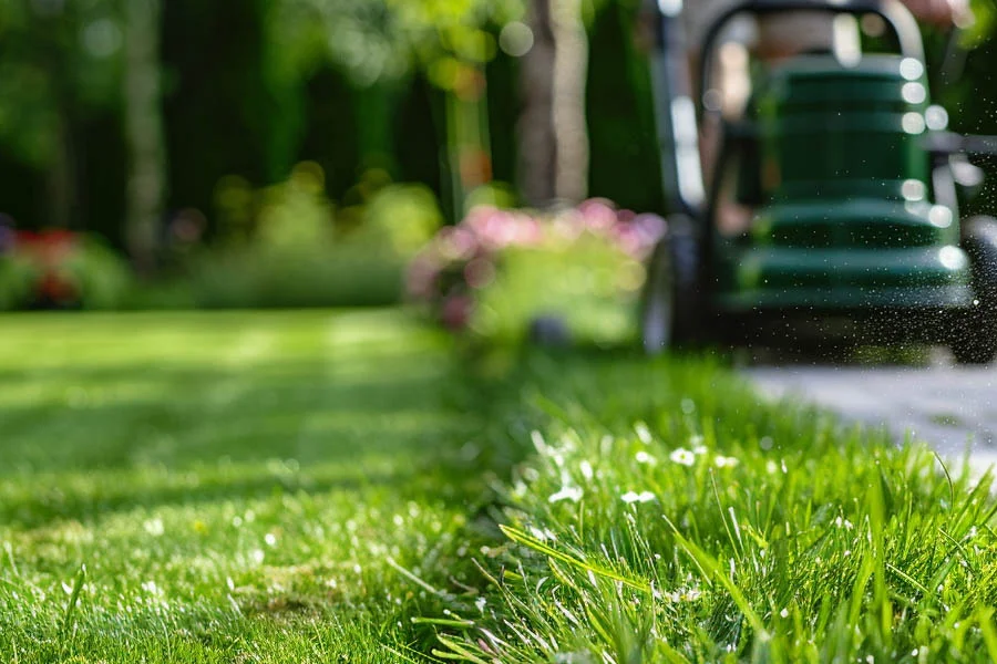 how much is lawn mower
