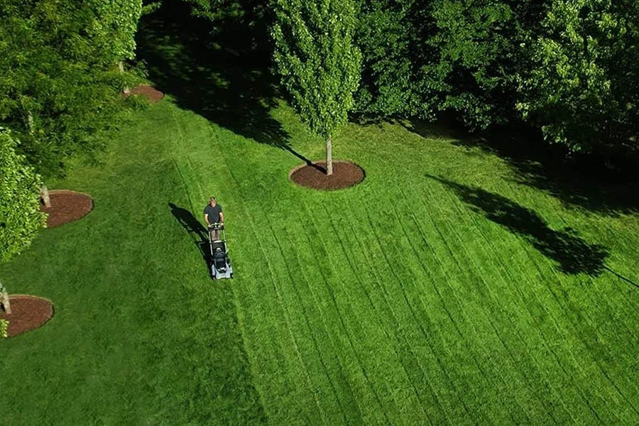 best electric lawn mower for small lawns
