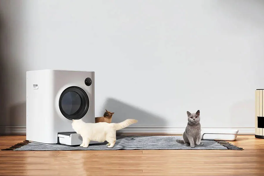 large litter box for multiple cats